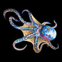 Octopus T  Shirtoctopus T  Shirt Premium Tee | Teevron