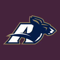 Akron University Zips Premium Tee | Teevron