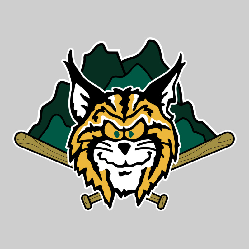 Lynchburg Hillcats Baseball Premium Tee by linhVisuals | Teevron