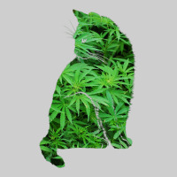 Funny Cannabis & Cat Lover Marijuana Weed Smoker Art T Shirt Premium Tee | Teevron