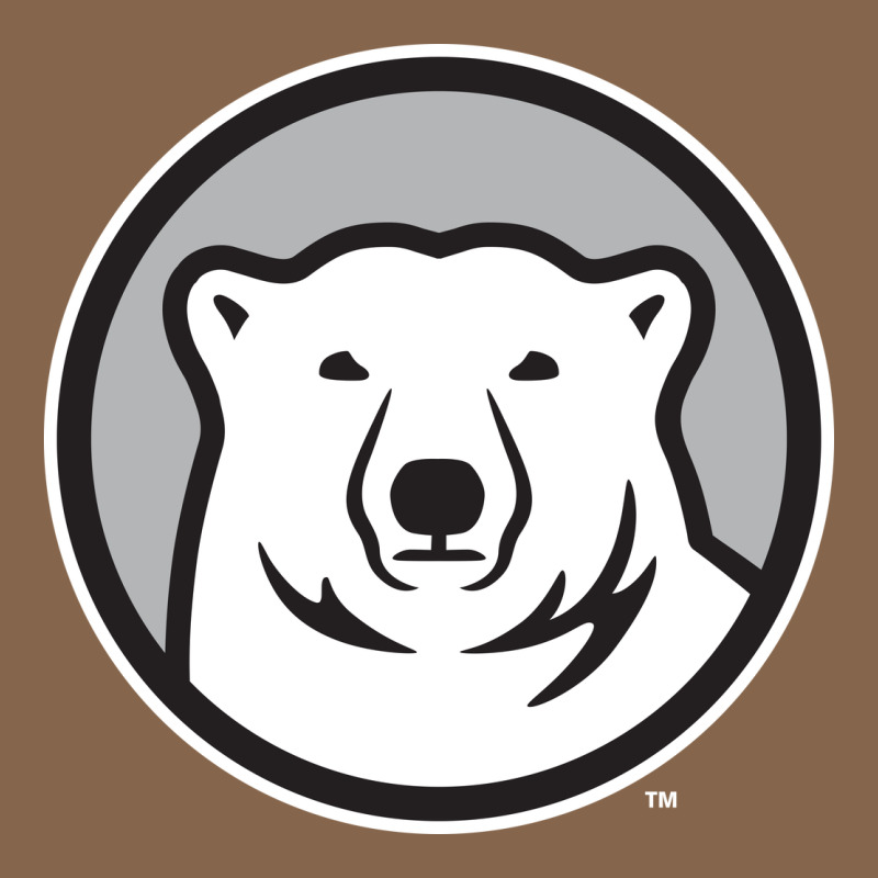 Bowdoin College Premium Tee by linhVisuals | Teevron