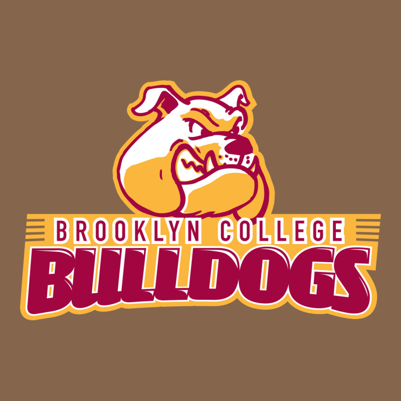 Brooklyn College Premium Tee by linhVisuals | Teevron
