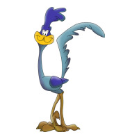 road runner | Teevron