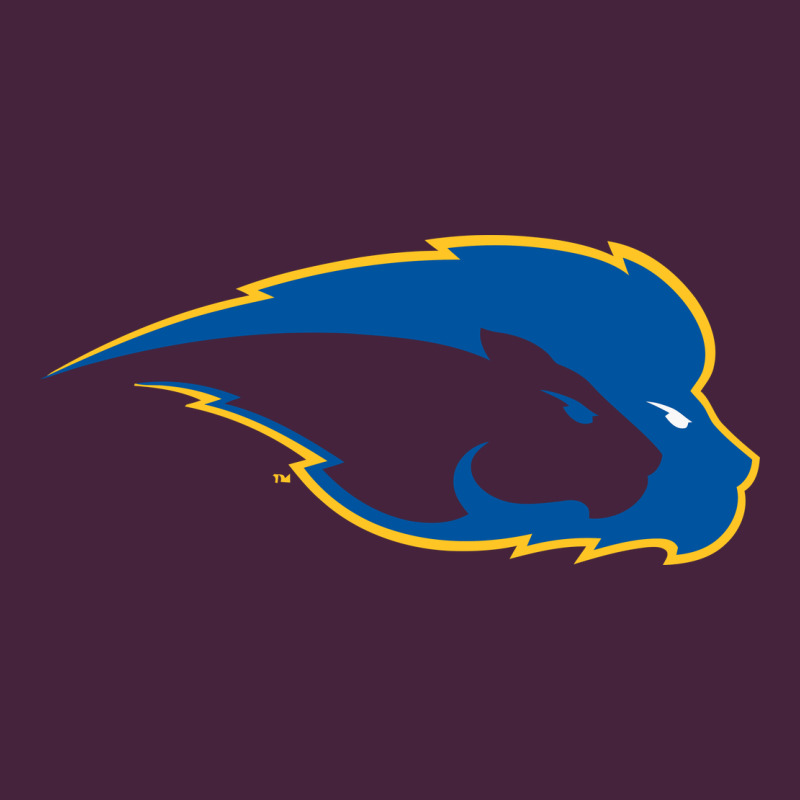 Hofstra Pride Premium Tee by linhVisuals | Teevron