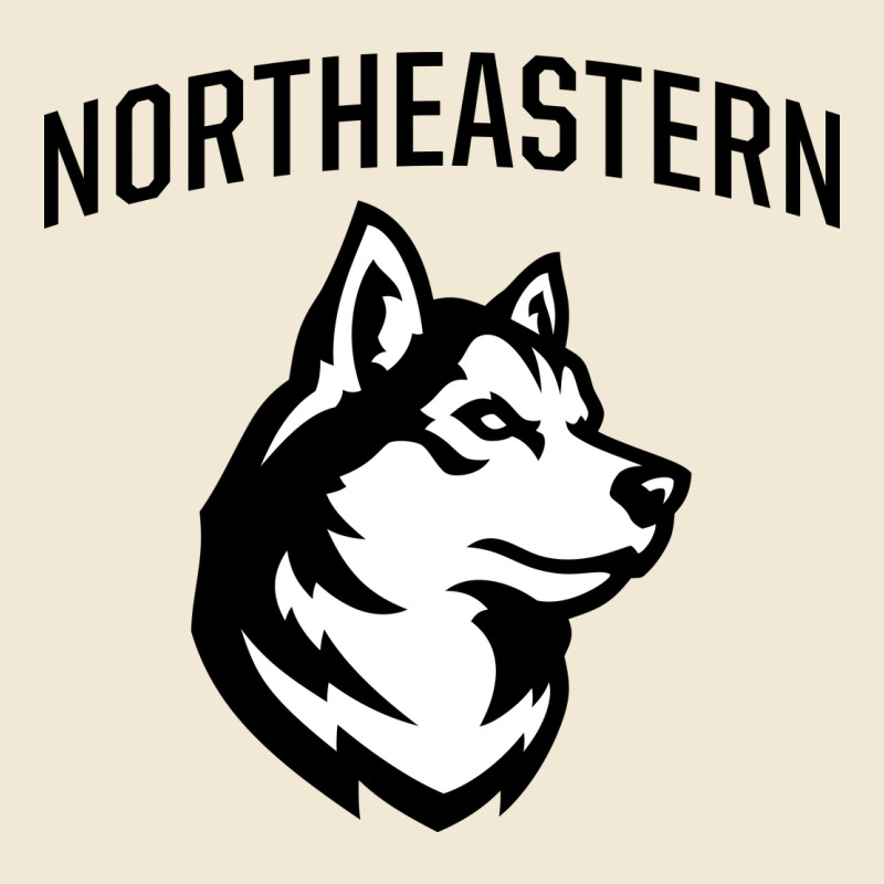 Northeastern Huskies Premium Tee by linhVisuals | Teevron