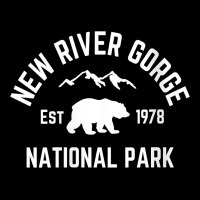 Womens New River Gorge National Park Bear West Virginia Nature V Neck Premium Tee | Teevron