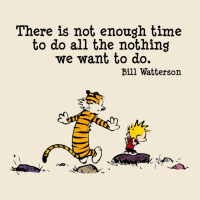 Newcalvin And Hobbes Quote 10 Premium Tee | Teevron