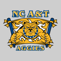 North Carolina A&t Aggies Premium Tee | Teevron
