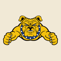 North Carolina A&t Aggies Premium Tee | Teevron