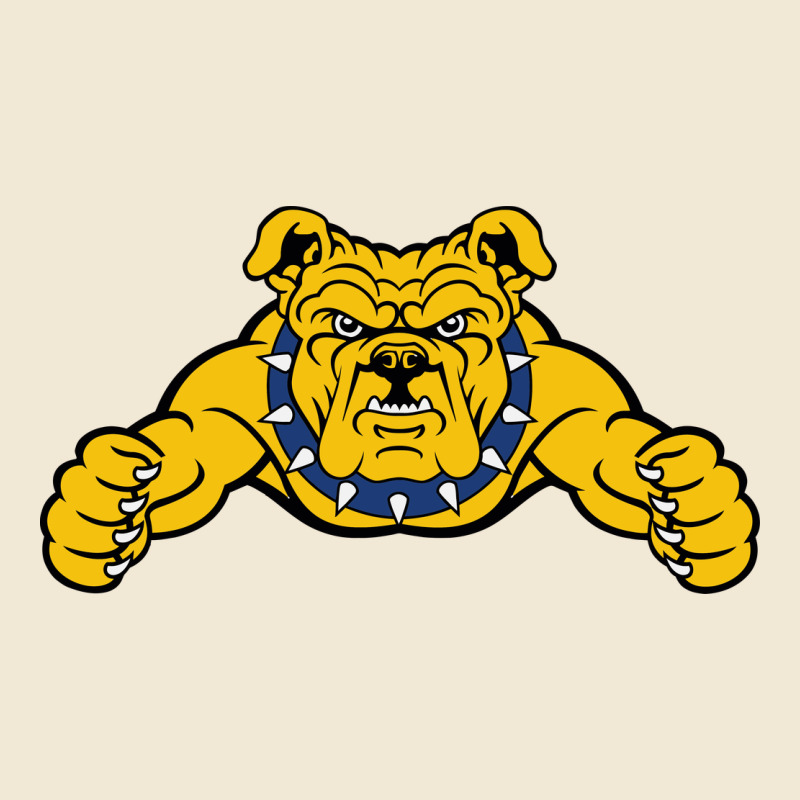 North Carolina A&t Aggies Premium Tee by linhVisuals | Teevron