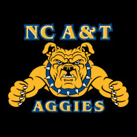 North Carolina A&t Aggies Premium Tee | Teevron