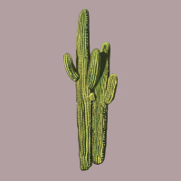 Saguaro Cactus Vintage Hoodie | Teevron