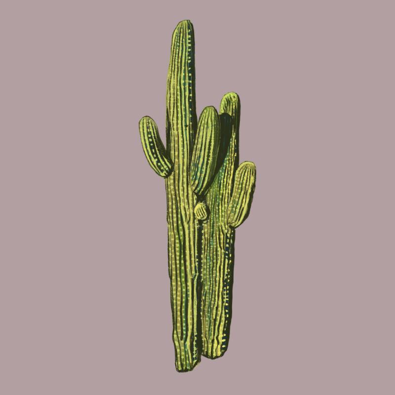 Saguaro Cactus Vintage Hoodie by LillyAllenDesigns | Teevron