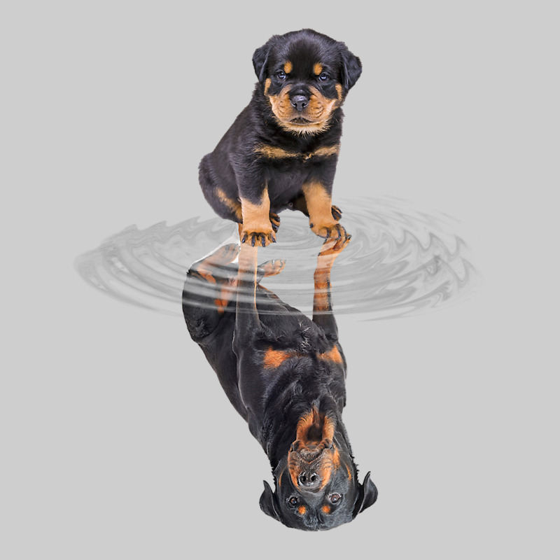 Rottweiler Reflection T Shirt Funny Father's Day Dog Gifts Premium Tee by linhVisuals | Teevron
