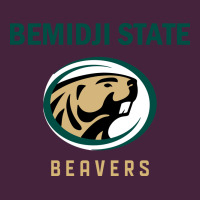 Bemidji State Beavers, Gear Premium Tee | Teevron