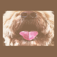 Labradoodle T  Shirtfunny Labradoodle Face Mask Funny Dog Mouth T  Shi Premium Tee | Teevron