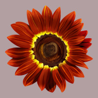 Rouge Royale Sunflower Vintage Hoodie | Teevron