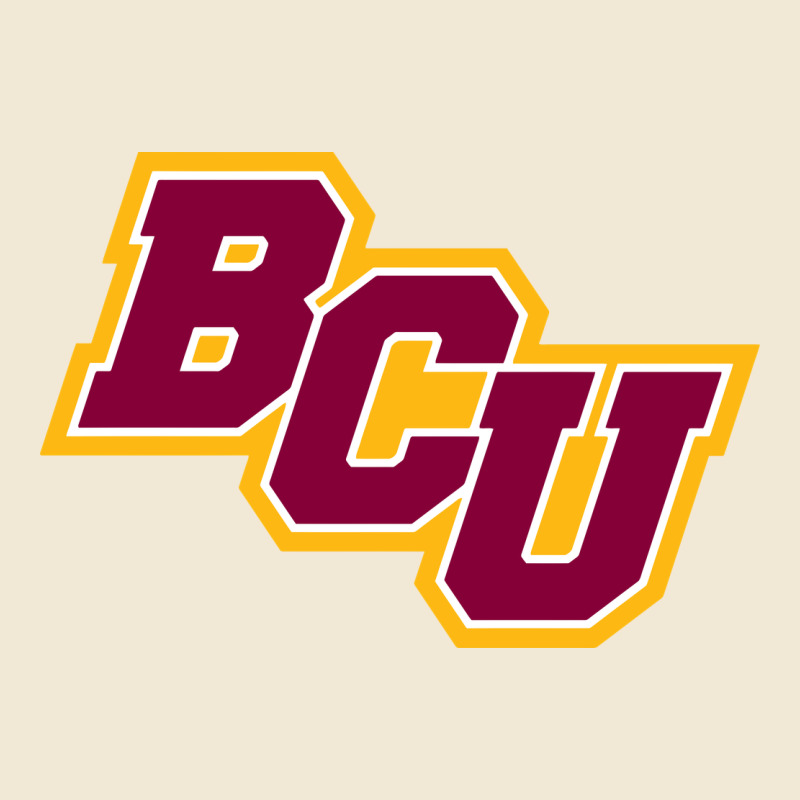 Bethune Cookman Premium Tee by linhVisuals | Teevron