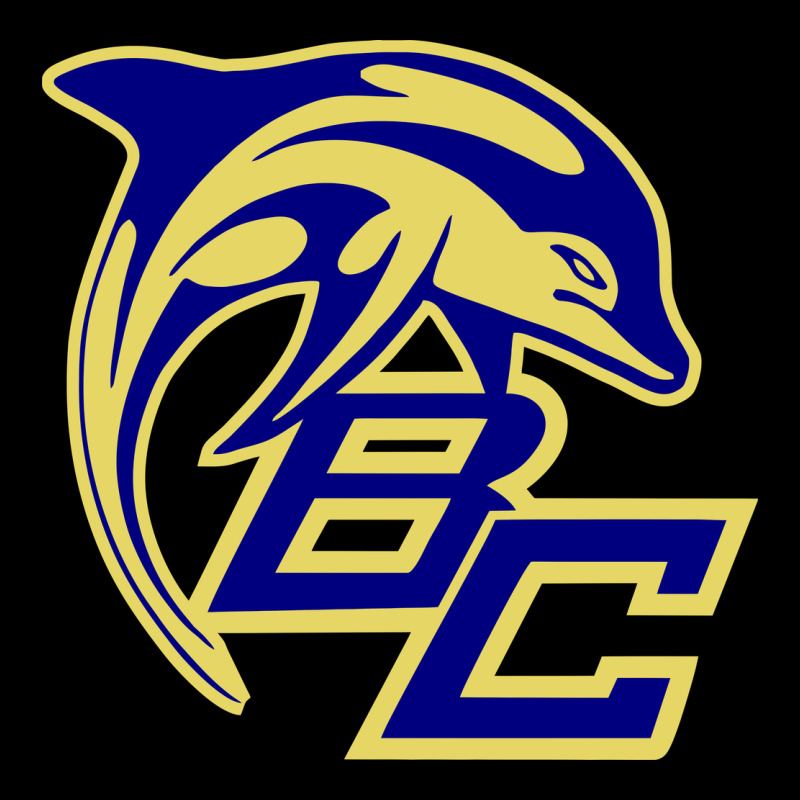 Battery Creek High School, Beaufort Premium Tee by linhVisuals | Teevron