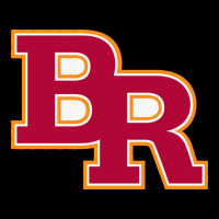 Brother Rice High School 3 Premium Tee | Teevron