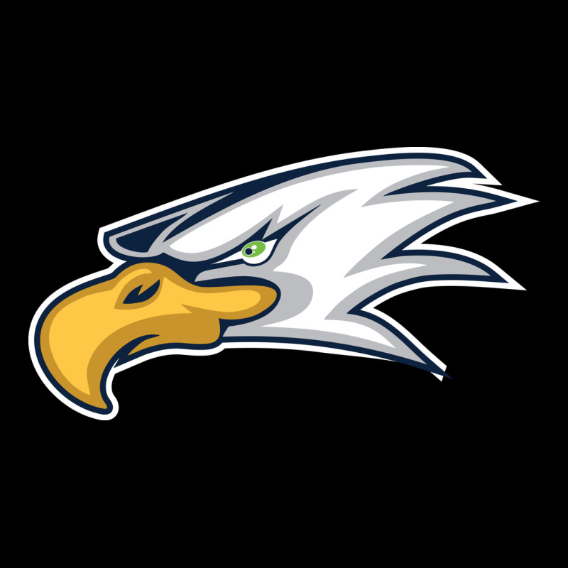 Eagle High School Premium Tee by linhVisuals | Teevron