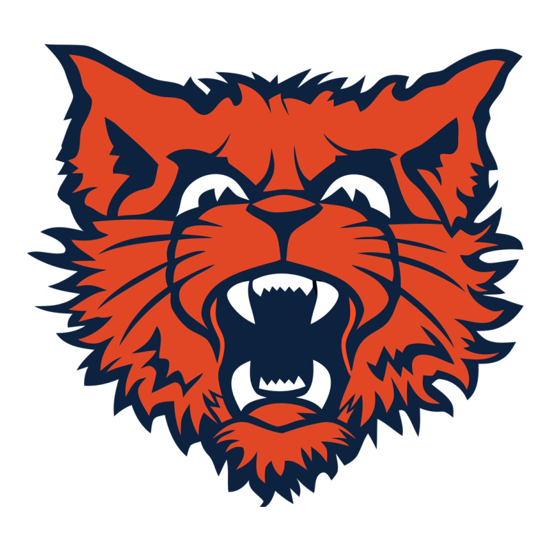 Evanston Township High School Premium Tee by linhVisuals | Teevron