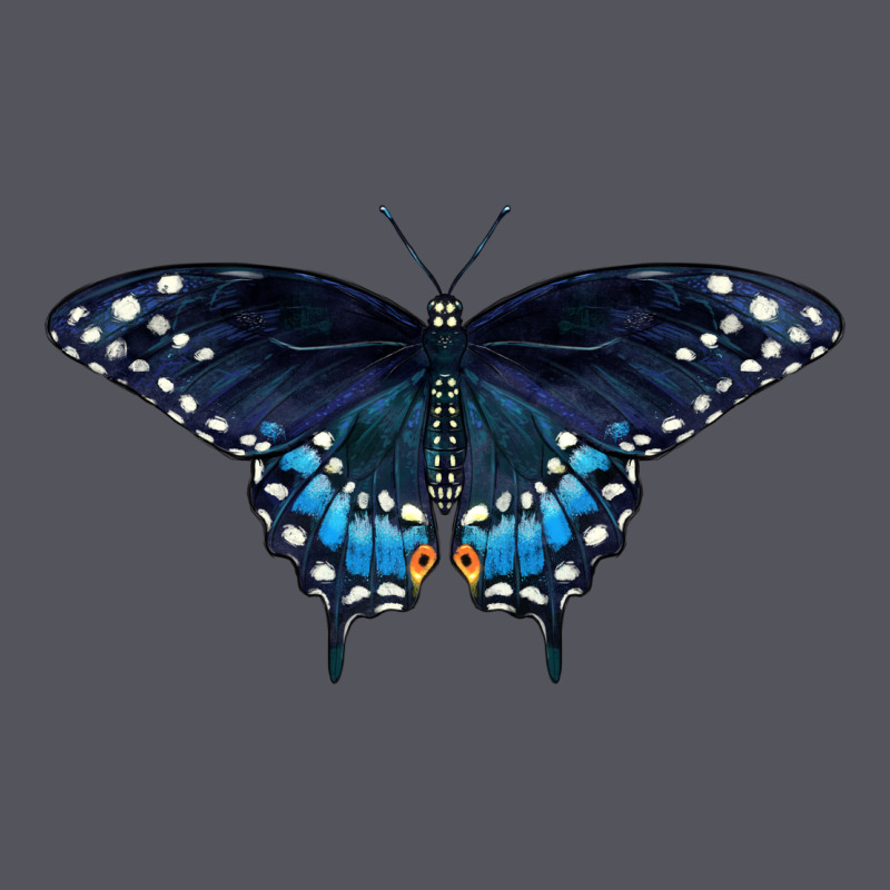 Black Swallowtail Butterfly Vintage Hoodie by LillyAllenDesigns | Teevron