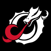 Msum Dragons, Gear Premium Tee | Teevron
