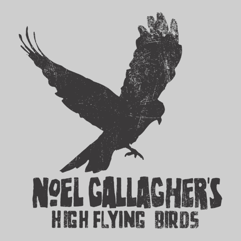 Noel Gallagher's High Flying Birds Classic Premium Tee by linhVisuals | Teevron