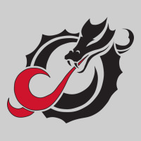 Msum Dragons, Gear Premium Tee | Teevron
