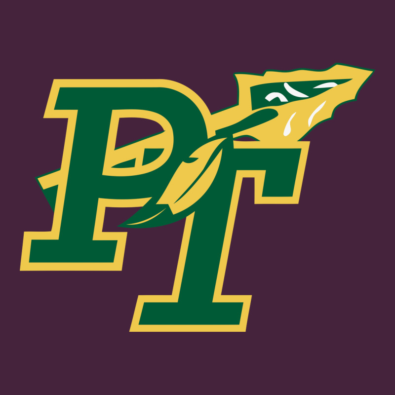 Penn Trafford School District Premium Tee by linhVisuals | Teevron
