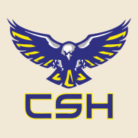 Cold Springs High School Premium Tee | Teevron