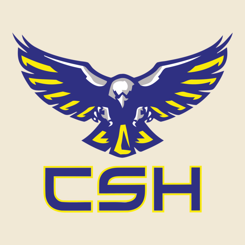 Cold Springs High School Premium Tee by linhVisuals | Teevron