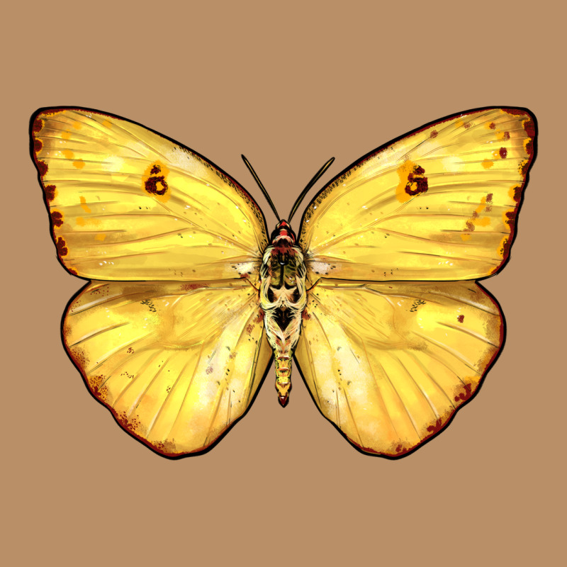 Cloudless Sulphur Butterfly Vintage Hoodie by LillyAllenDesigns | Teevron