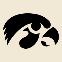 University Of Iowa Athletics Teams Gear Premium Tee | Teevron