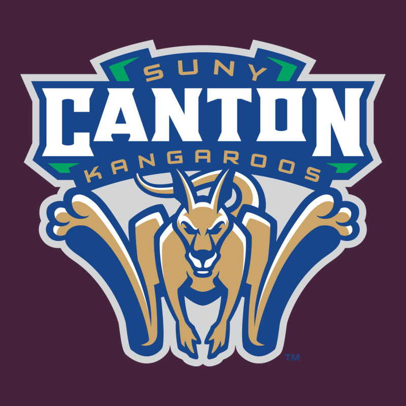 Suny Canton Premium Tee by linhVisuals | Teevron