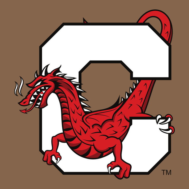Suny Cortland Red Dragons Premium Tee by linhVisuals | Teevron