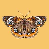 Common Buckeye Butterfly Vintage Hoodie | Teevron