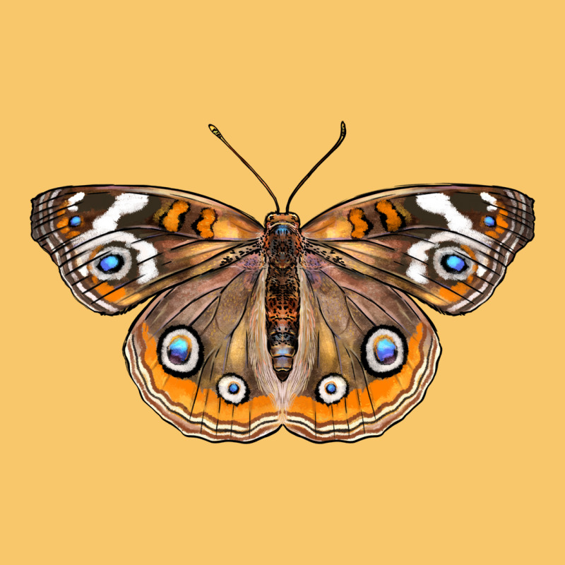 Common Buckeye Butterfly Vintage Hoodie by LillyAllenDesigns | Teevron
