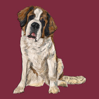 Saint Bernard Premium Hoodie | Teevron