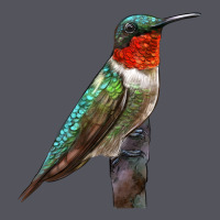 Ruby Throated Hummingbird Bird Vintage Hoodie | Teevron