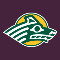 Alaska Anchorage Seawolves Premium Tee | Teevron