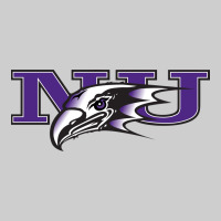 Niagara Purple Eagles Premium Tee | Teevron