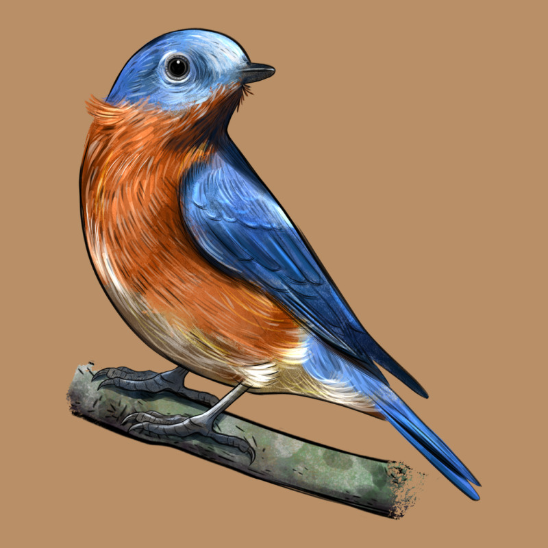 Eastern Bluebird Vintage Hoodie by LillyAllenDesigns | Teevron
