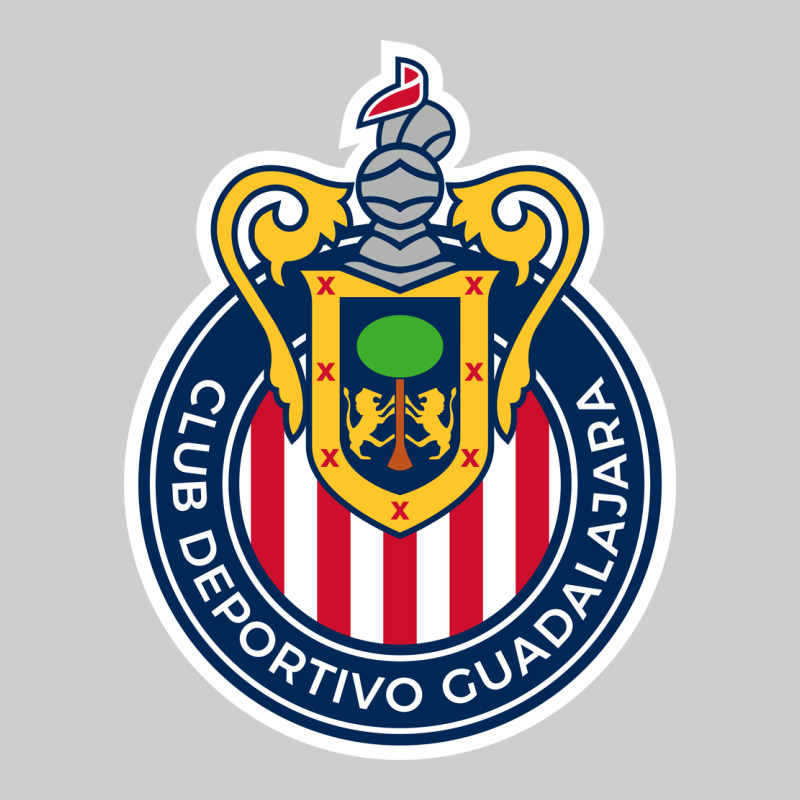 Guadalajara Femenil Premium Tee by linhVisuals | Teevron