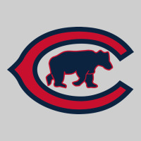 The Cubbies Baseball Premium Tee | Teevron
