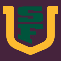 The Usf Dons Premium Tee | Teevron