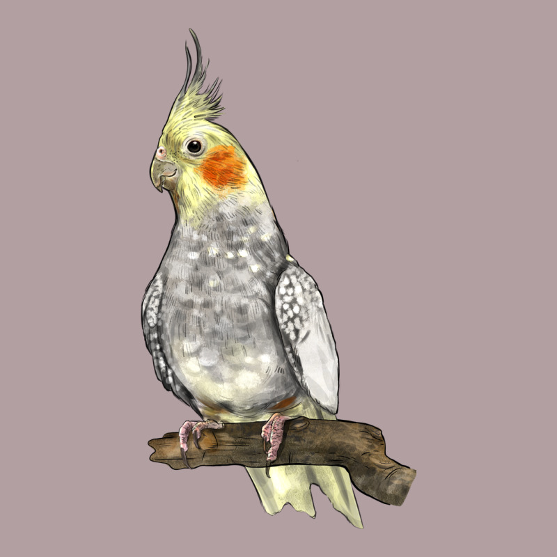 Cocktail Parrot Vintage Hoodie by LillyAllenDesigns | Teevron