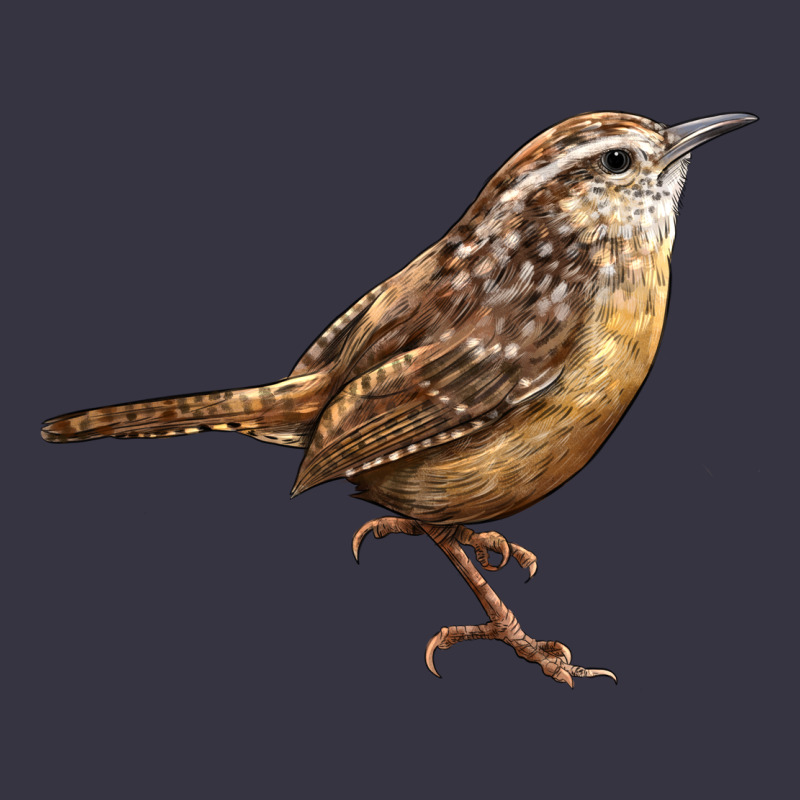 Ccarolina Wren Vintage Hoodie by LillyAllenDesigns | Teevron