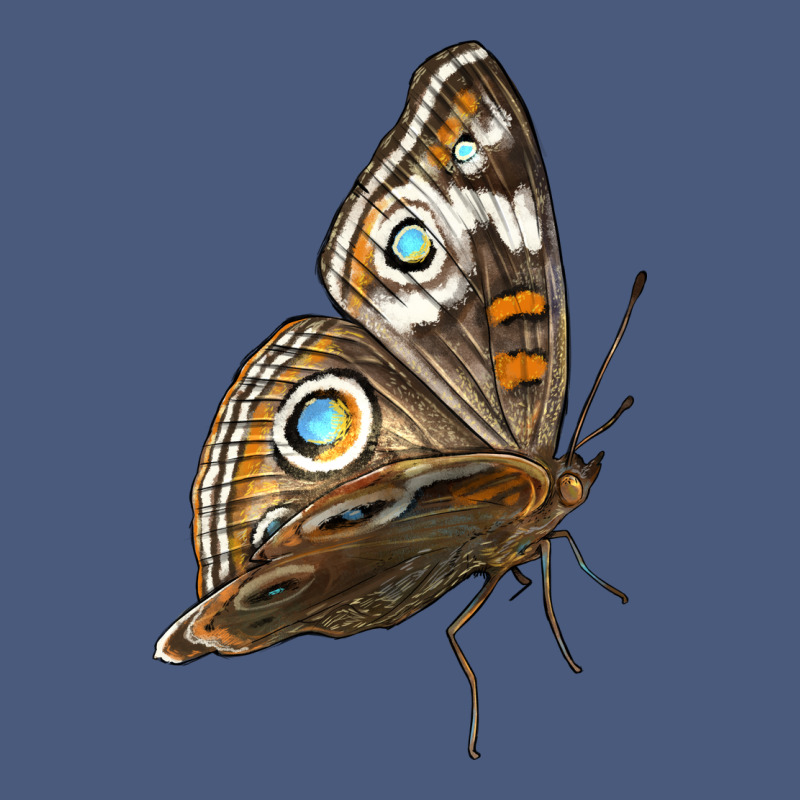 Flying Common Buckeye Butterfly Vintage Hoodie by LillyAllenDesigns | Teevron
